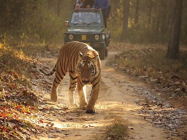 कान्हा राष्ट्रीय उद्यान