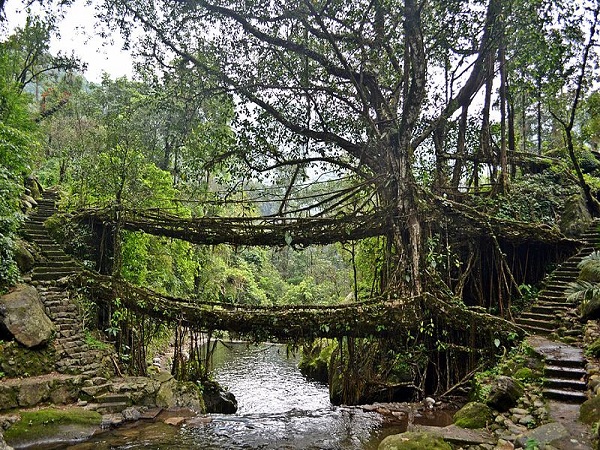 विश्व का दूसरा नम स्थल