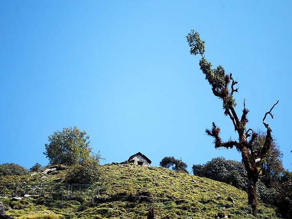 दुग्गल बिट्टा