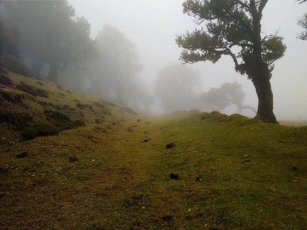 आसपास के स्थल