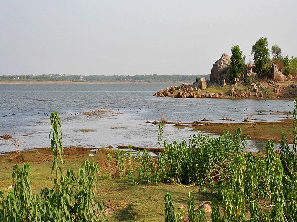 हिमायत सागर