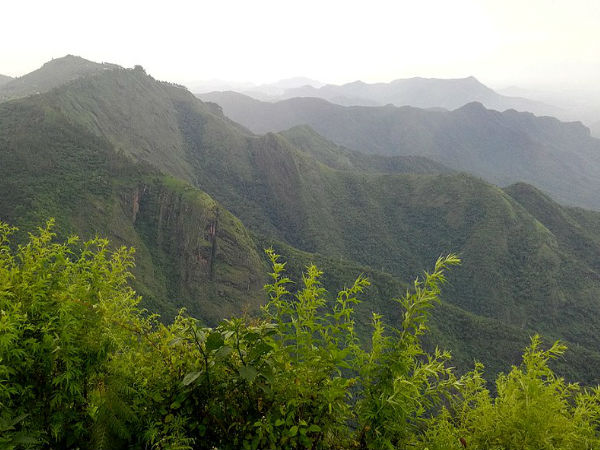 कोडईकनाल