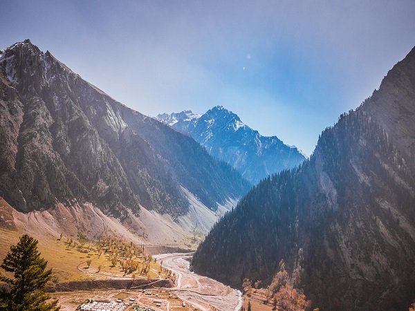 कैसे करें प्रवेश