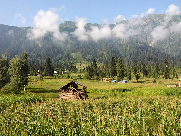 गतिविधियां