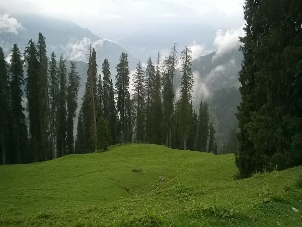 कैसे करें प्रवेश