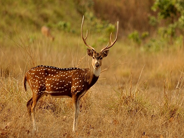 कैसे करें प्रवेश