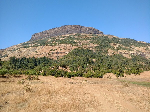 आने का सही समय