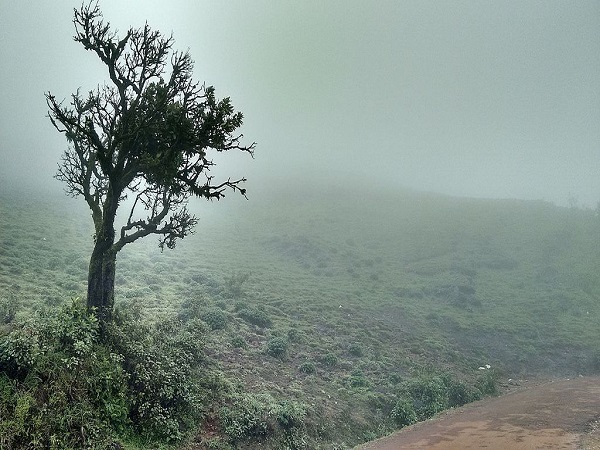 बाबा बुदनगिरी हिल्स