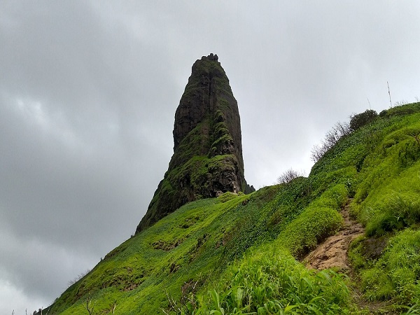 कैसे करें प्रवेश