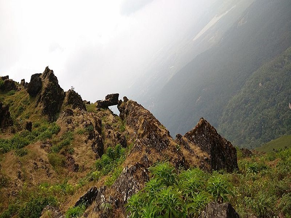 कैसे करें प्रवेश