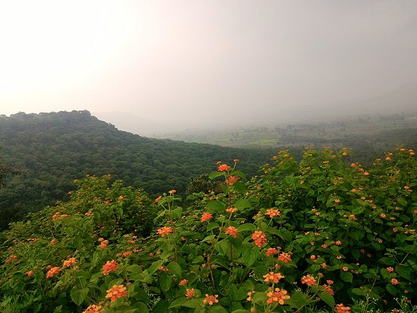 क्यों आएं सतना ?