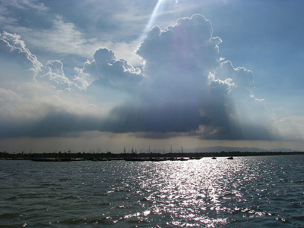 नेल्लोर