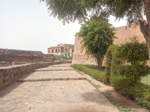 फिरोज़ शाह महल