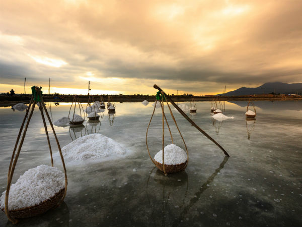 salt firlds salt firlds