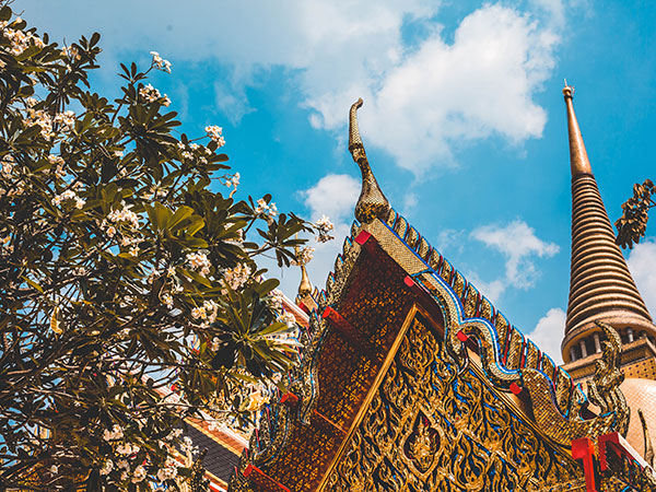 स्वर्ण मंदिर (तिब्बती मंदिर)
