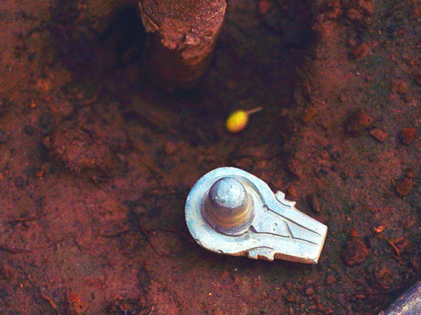 बैद्यनाथ मंदिर, मनात्रि