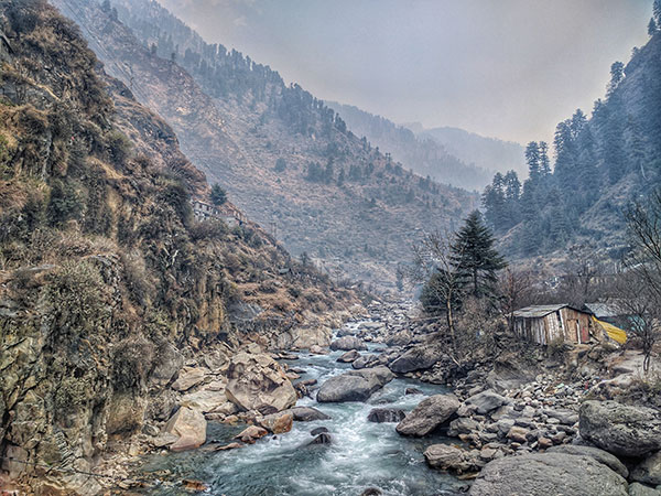 मियाओ