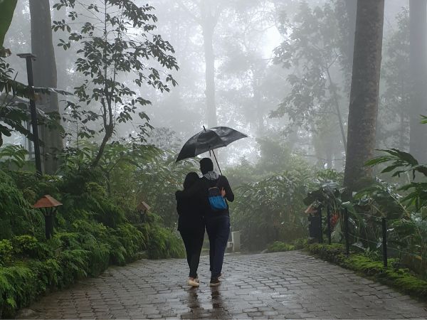 munnar munnar