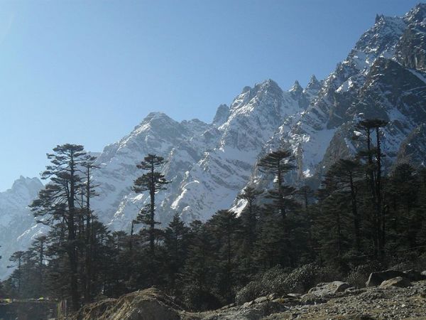 yumthang valley yumthang valley