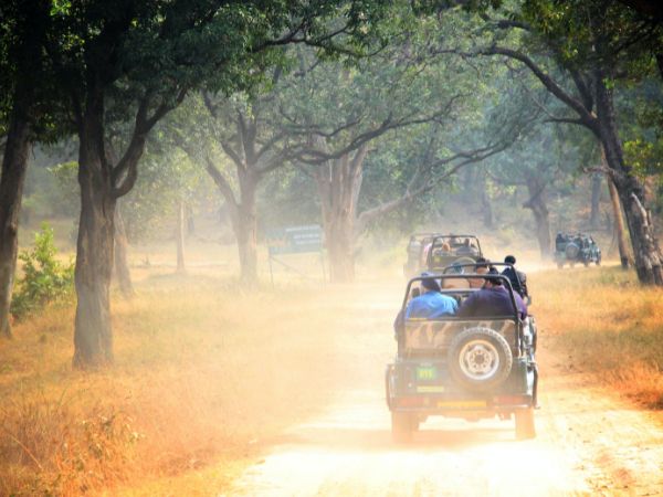 बांधवगढ़ नेशनल पार्क, मध्य प्रदेश