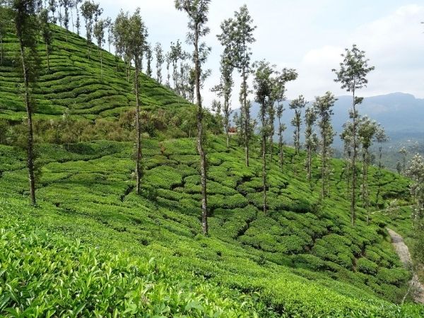 Chikmagalur Chikmagalur