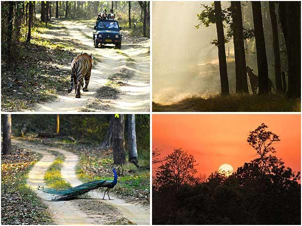 कान्हा राष्ट्रीय उद्यान, मध्य प्रदेश