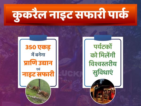 ओपन एयर चिड़ियाघर में विकसित होगा यह नाइट पार्क