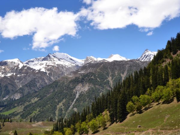 सनासर