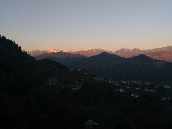 mandi mandi